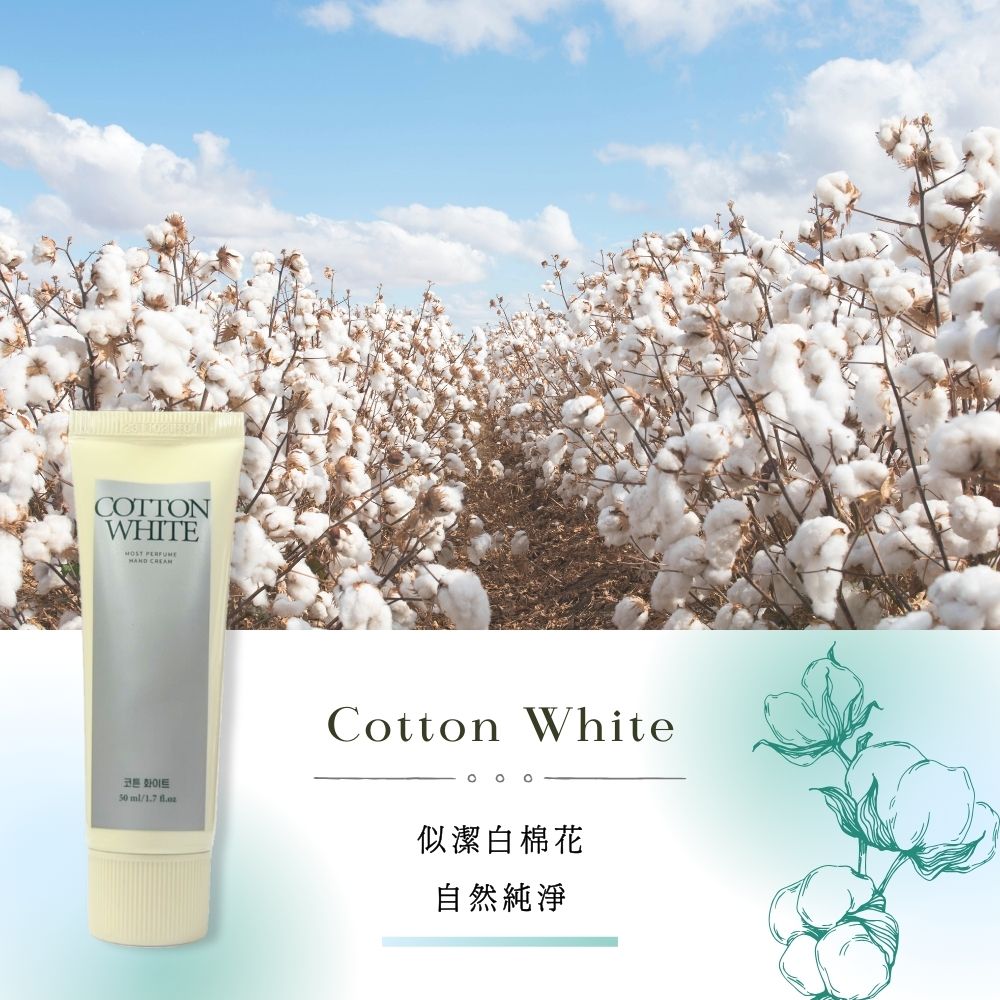 美蒂菲 升级版 海藻矽针嫩肤面膜 120g