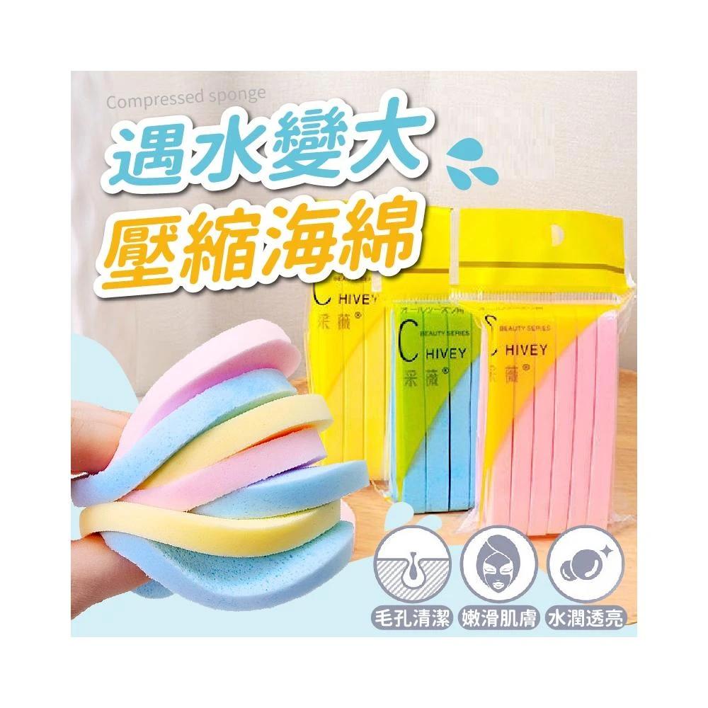 Salon Link 胺基酸山茶花修护 超值1+1洗润套组 1000ml 山茶花 洗发精 洗发乳 润发乳 护发 保湿 修护 日初居家