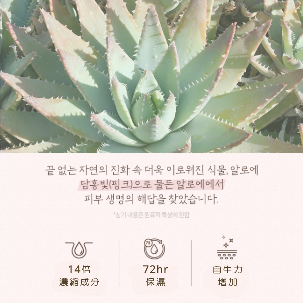 精油护肤新姿势：五大妙招