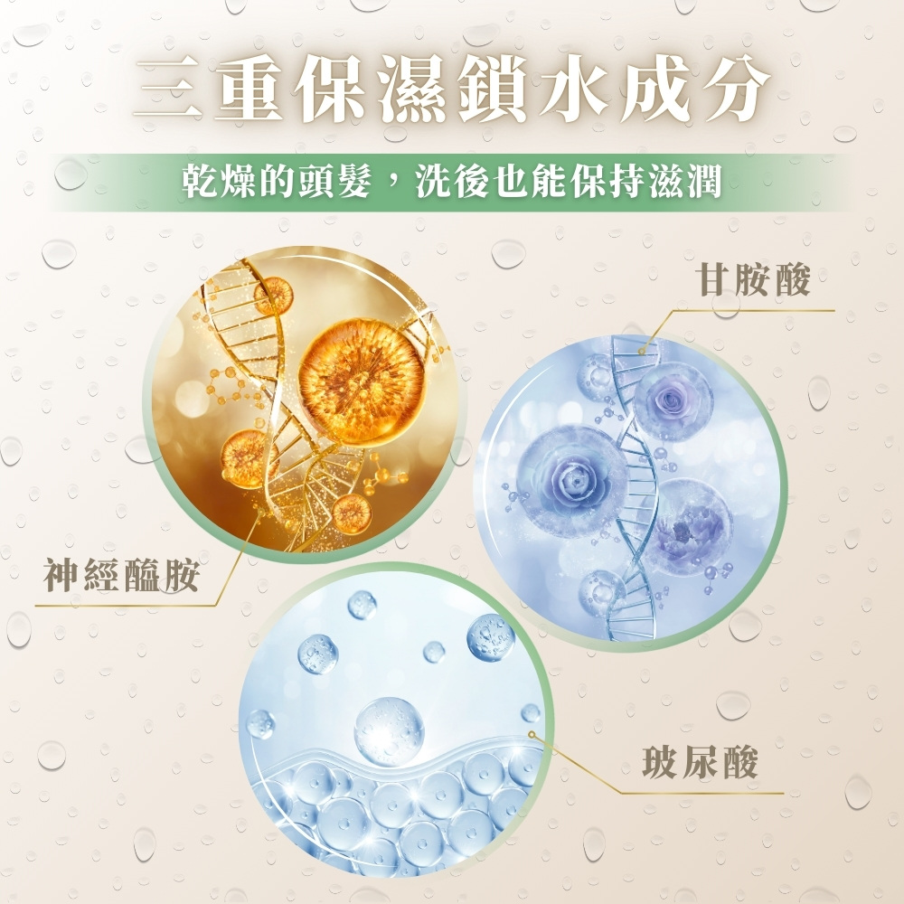抢钱不抢，送大牌！二裂酵母&南非凤凰草焕发自信