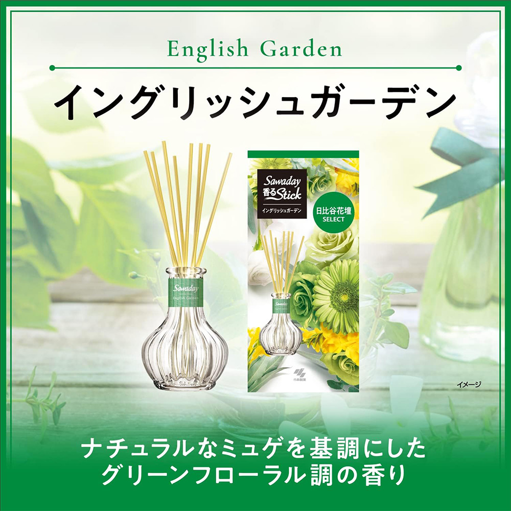 日本进口 毛发分解水管疏通剂20gX2入